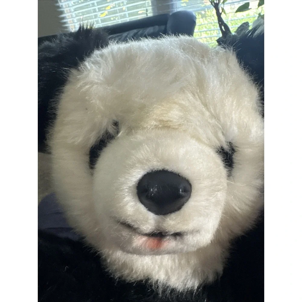 Steiff Bear Molly Panda Style Larger Size 0326/45 Signed Hans Otto Steiff VTG --